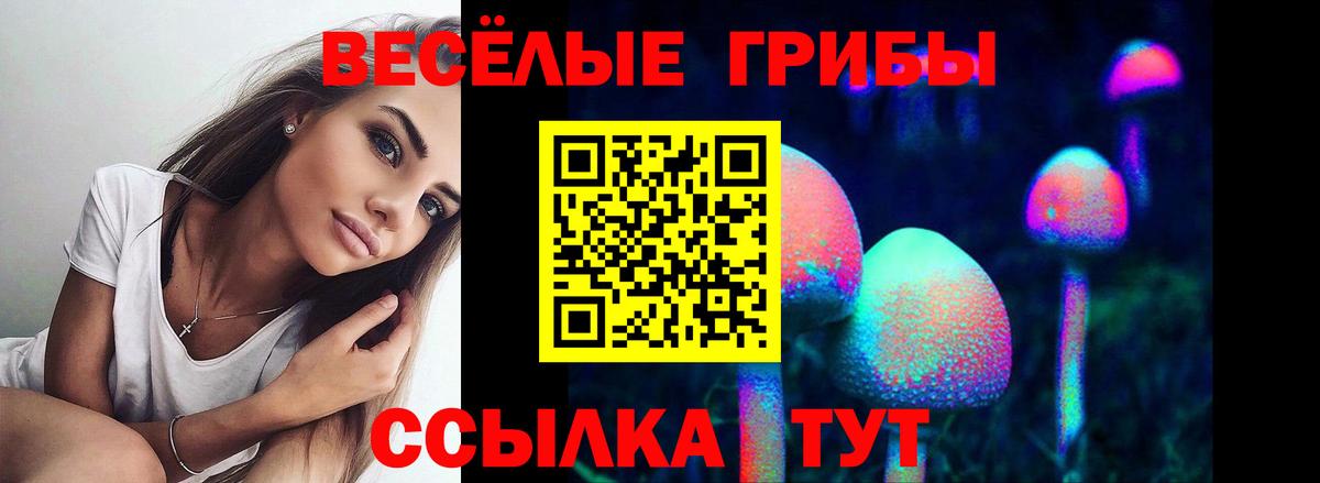 Галлюциногенные грибы Psilocybe Рязань